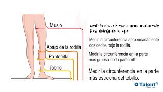 Como medir correctamente las piernas para elegir la talla correcta de medias compresivas Venosan® [upl. by Avrenim]