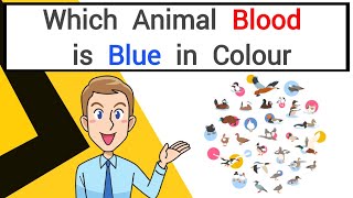 Which animal Blood is Blue in colour  interesting Gk  interesting facts [upl. by Carmelina]