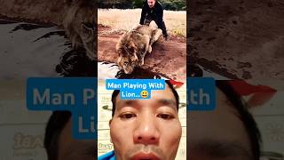 Man Playing With Lion😀 lion animals wildlife funny shortvideo [upl. by Noirb797]