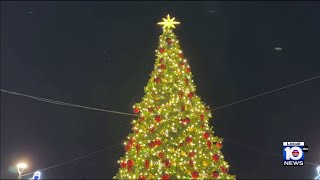 Bayfront Park lights massive Christmas Tree [upl. by Akeihsal872]