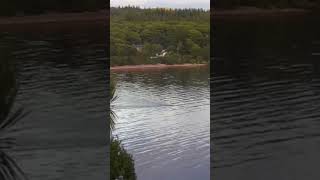 New footage from Scotland suggests there are two Loch Ness monsters ‘Not a coincidence’ shorts [upl. by Kristoffer]