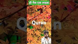 quotes quranictranslation urdu translationquranandislam [upl. by Zerat]