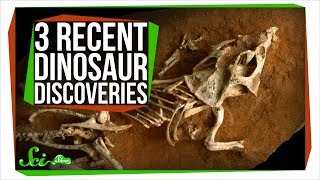 3 MindBlowing Recent Dinosaur Discoveries [upl. by Roter]