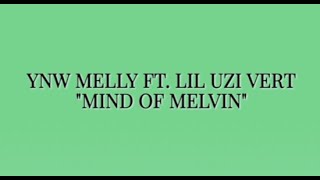 YNW Melly ft Lil Uzi Vert  Mind of Melvin Lyric Video [upl. by Panaggio]