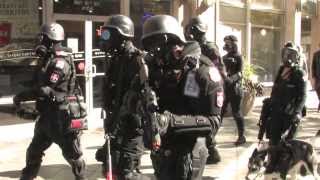 Umbrella Corporation Denver News Story 2013 [upl. by Teodoro779]