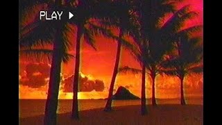 ＥＴＥＲＮＡＬ ＰＡＲＡＤＩＳＥ™  a Tropical Vaporwave Fantasy [upl. by Attezi]