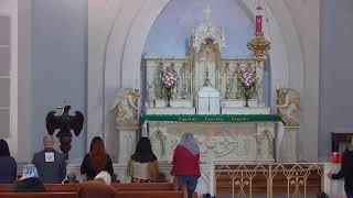 Saturday 9 AM Latin Mass for 11092024 [upl. by Alyek117]