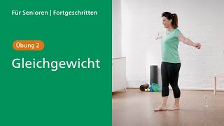 Für Fortgeschrittene  Gleichgewicht [upl. by Luaped]