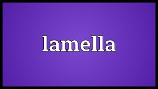 Lamella Meaning [upl. by Dane948]