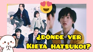 SUB ESP  ENG SUB ¿DÓNDE VER LA SERIE quotKIETA HATSUKOI Un cuadrado amoroso 😅💗 [upl. by Kohl]