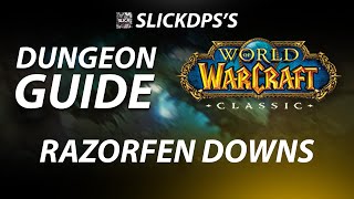 HARDCORE  RAZORFEN DOWNS DUNGEON GUIDE  WOW CLASSIC [upl. by Burd]