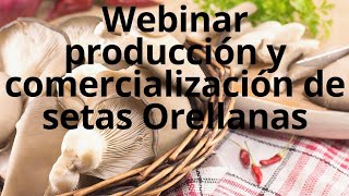 Webinar Setas Orellanas Producción Y Comercialización [upl. by Anetsirhc90]