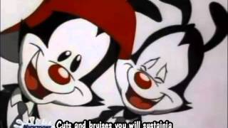 Animaniacs  Dot The Macadamia Nut With lyrics [upl. by Arikihs]