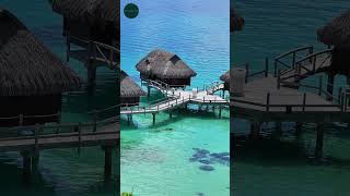 Bora Bora Discover a Tropical Paradise of Turquoise Waters and Overwater Bungalows shorts [upl. by Adelina]