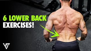 6 Lower Back Strengthening Exercises  V SHRED [upl. by Husha]