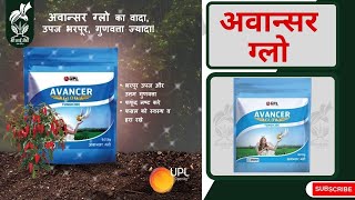 Shrisaiagro  UPL Avancer Glow Fungicide  अवान्सर ग्लो फफुंदीनाशक Azoxystrobin 83Mancozeb 667 [upl. by Naicad]