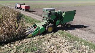 Claas SP combine corn harvest 2k22 [upl. by Judy326]