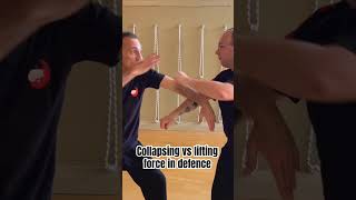 Collapsing vs lifting force martialarts taichi [upl. by Anazus]