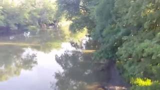 The Great Miami River Outside of DeGraff Ohio on State Route 235 in Rural Logan County [upl. by Salocin]