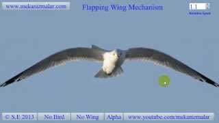 Wing Flapping Mechanism [upl. by Pazia]