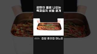 감탄 절로 나오는 쪽파 김치 비법 공개 [upl. by Nallac]