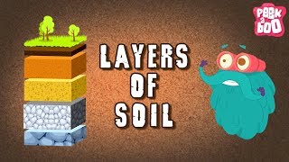 Layers Of Soil  The Dr Binocs Show  Best Learning Videos For Kids  Peekaboo Kidz [upl. by Rosalinda]