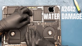 MACBOOK PRO  A2442 WATER DAMAGE  DRYING UP THE WATER [upl. by Anerehs]