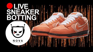 🔴LIVE  SB Dunk Low Concepts Orange Lobster  Sneaker Botting [upl. by Saul601]