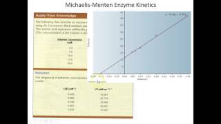 Lecture 5B  More MichaelisMenten Enzyme Kinetics [upl. by Yrailih539]