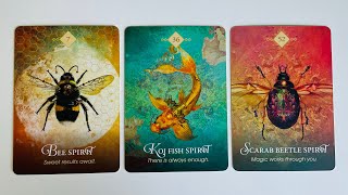 What Will be Revealed to You Soon  Pick a Card  Timeless Tarot [upl. by Lenahc393]