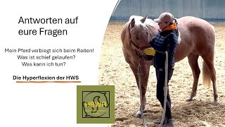 Die Westernreitstunde Hyperflexion der Halswirbelsäule Ursache und Maßnahmen [upl. by Marozas926]