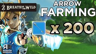 Zelda Breath of the Wild  Arrow Farming 10 min  200 arrows [upl. by Aseefan551]