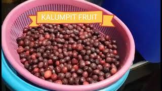 HOW TO COOK MINATAMIS NA KALUMPIT FAMOUS FRUIT IN BATANGAS PANLASANG PINOY [upl. by Kirre]