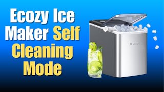 Ecozy Ice Maker Self Cleaning Mode  CLeaning Instructions [upl. by Valerye367]