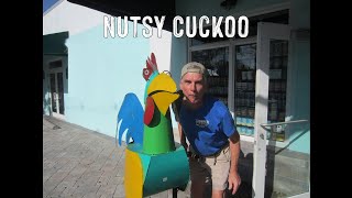 Nutsy Cuckoo Music Video [upl. by Becki]