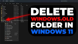 How to Delete Windowsold Folder in Windows 11  Free Up Space Easily [upl. by Bard265]