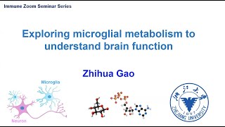 Explore microglia metabolism to understand brain function [upl. by Adnahsed14]