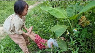 landslide tree fell near the house sister picked fruit to sell bodonthan123 [upl. by Teece]