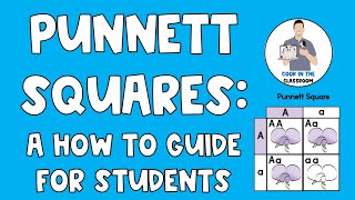 Punnett Squares A Student How to Guide [upl. by Essiralc]