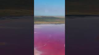 Amazing facts of Lake Hillier  you tube  Australia  facts [upl. by Oivalf]