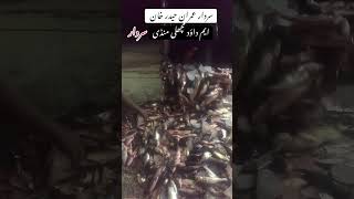 SARDAR Imran haider khan fish M DAWOD FISH MANDI machlimusic newmusic musicmg [upl. by Muiram]