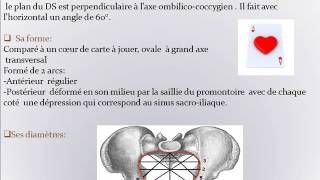 GYNECOLOGIE EXAMEN CLINIQUE DU BASSIN OBSTETRICAL NORMAL [upl. by Volotta464]