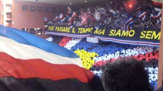 Derby GenoaSampdoria coreografia sud [upl. by Redmund]