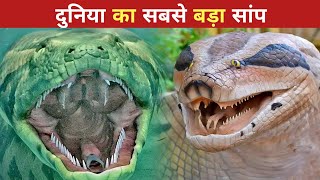 क्या आज भी जीवित है Titanoboa  mystery of titanoboa  titanoboa  historical [upl. by Haerr]