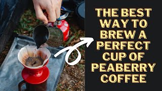 The Best Way To Brew A Perfect Cup Of Peaberry Coffee  COFFEE BUZZ CLUB [upl. by Huberto218]