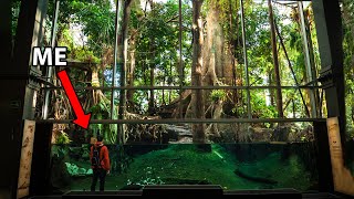 I Visited One of the Largest Indoor Rainforests in the Middle of a City [upl. by Aivull]