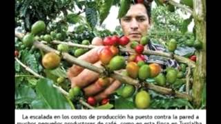 El Salvador y la republica cafetalera INARC [upl. by Aissyla]