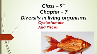 Class Cyclostomata and class Pisces  Class  9 Chapter  7 [upl. by Haissi]