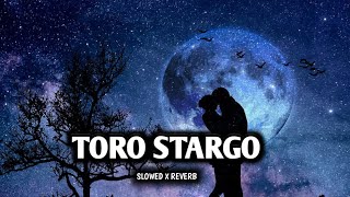 Toro Stargo  Slowed x Reverb  Alizeh Khan Official Song  Lofi x RehanOo [upl. by Nofpets640]