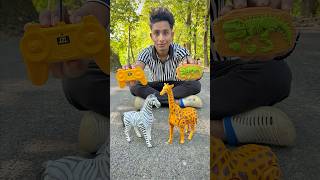 Rc Horse and Remote Control Giraffe Unboxing🔥🦒 [upl. by Yle]